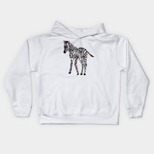 Baby Zebra Kids Hoodie